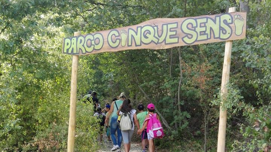 scarpe per camminare nel bosco